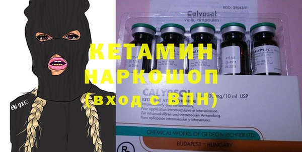 ГАЛЛЮЦИНОГЕННЫЕ ГРИБЫ Богданович