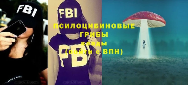 ГАЛЛЮЦИНОГЕННЫЕ ГРИБЫ Богданович