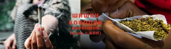 ГАЛЛЮЦИНОГЕННЫЕ ГРИБЫ Богданович