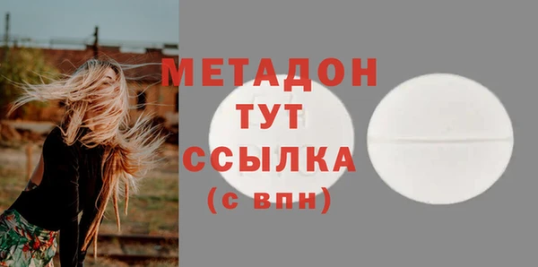 ГАЛЛЮЦИНОГЕННЫЕ ГРИБЫ Богданович