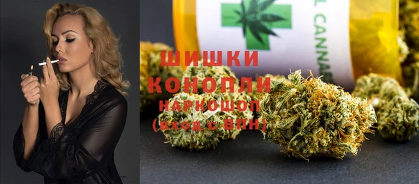 ГАЛЛЮЦИНОГЕННЫЕ ГРИБЫ Богданович