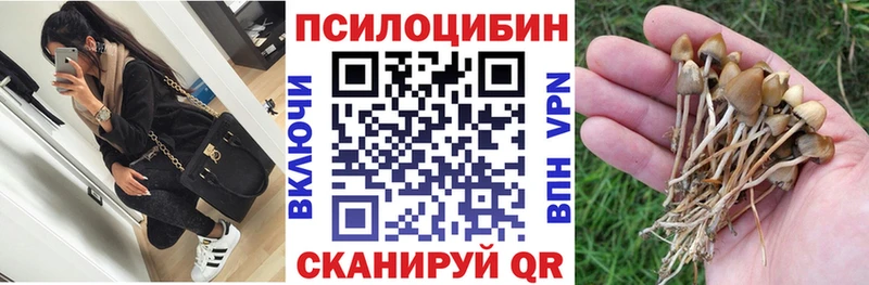 Галлюциногенные грибы Psilocybine cubensis  Гусев 